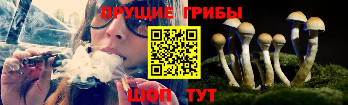 Юрга  Галлюциногенные грибы Magic Shrooms  Вход с VPN 